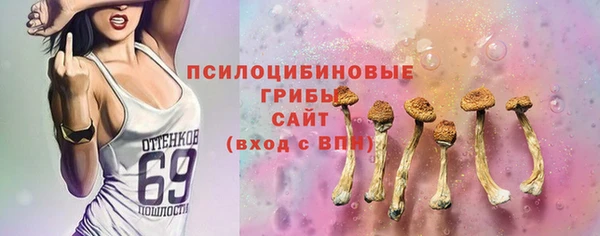 винт Коряжма