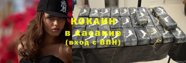 прущие грибы Корсаков