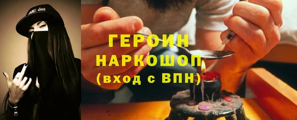 прущие грибы Корсаков