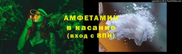 прущие грибы Корсаков