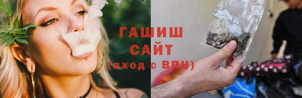 прущие грибы Корсаков