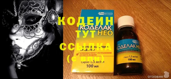 прущие грибы Корсаков