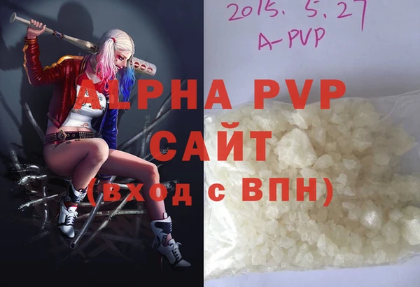 прущие грибы Корсаков