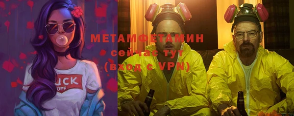 прущие грибы Корсаков