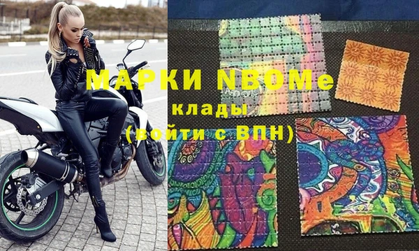 прущие грибы Корсаков