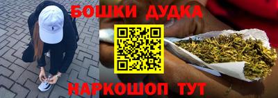 гидра Заводоуковск