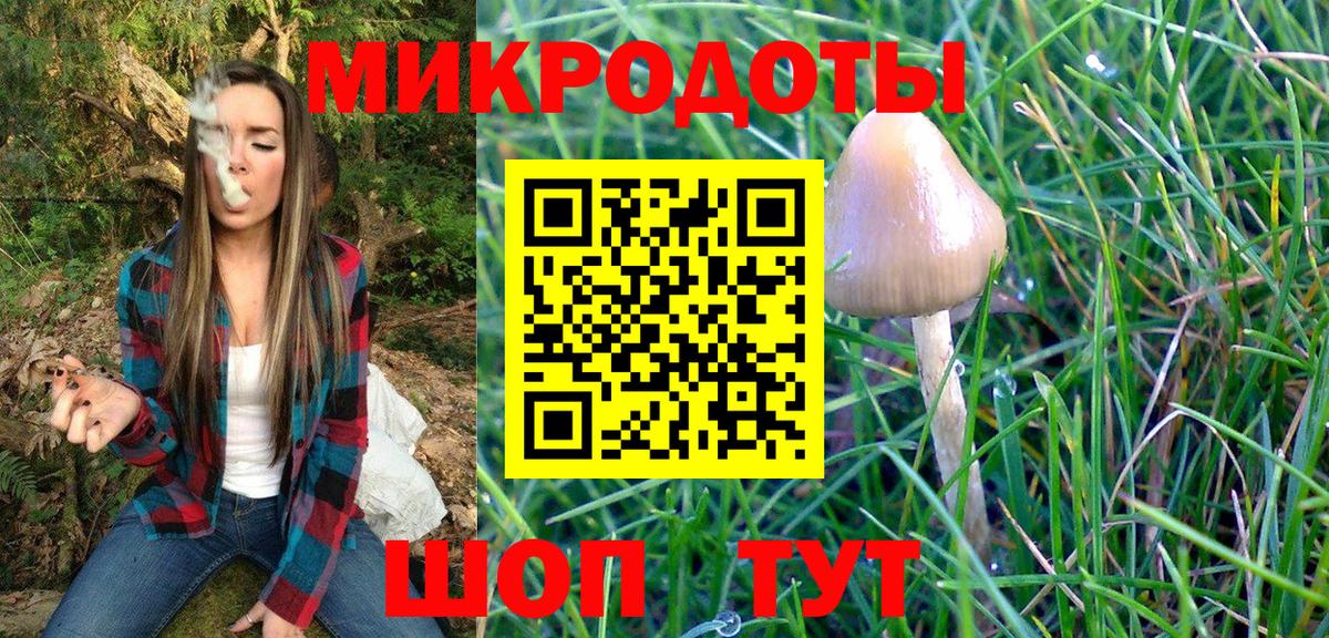 Псилоцибиновые грибы Psilocybe Заречный