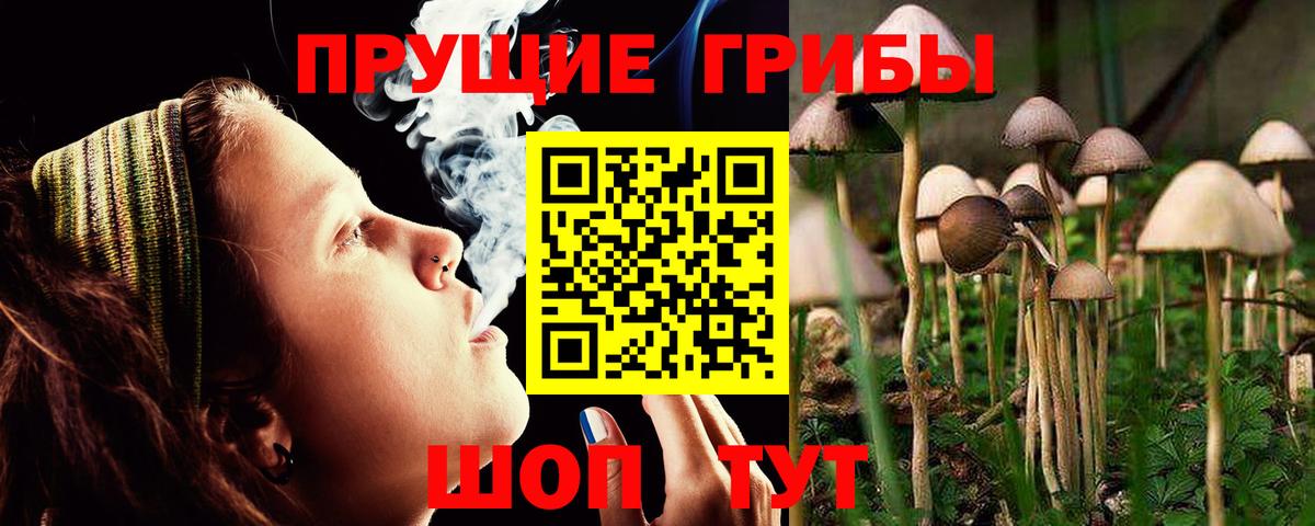 Заречный  Галлюциногенные грибы прущие грибы  Вход с VPN 