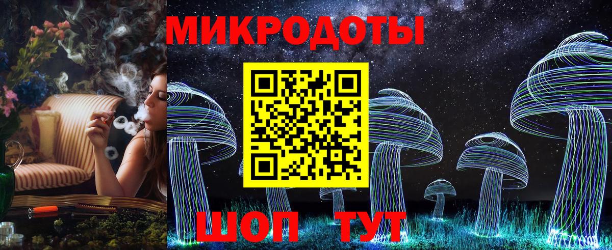 Псилоцибиновые грибы Cubensis  Галлюциногенные грибы Psilocybine cubensis  Заречный 